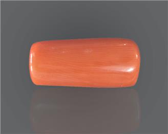 Natural Coral  8.69RTS-27539